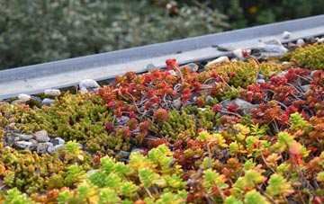 the cost of Henwood Green green roof installation