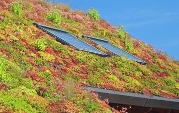 Henwood Green living roof systems
